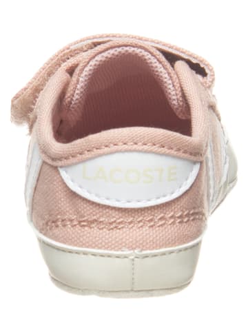 Lacoste Buty "Sideline Crib 120" w kolorze jasnoróżowym do raczkowania
