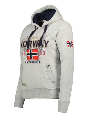 Geographical Norway Bluza "Guitre" w kolorze szarym