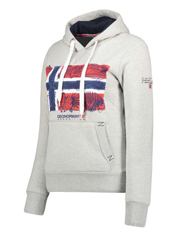 Geographical Norway Bluza "Gpalm" w kolorze szarym