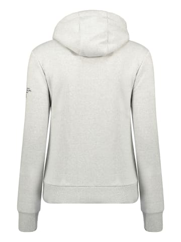 Geographical Norway Hoodie "Gpalm" grijs