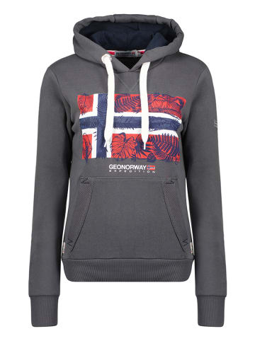 Geographical Norway Hoodie "Gpalm" in Anthrazit
