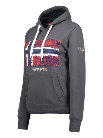 Geographical Norway Hoodie "Gpalm" in Anthrazit