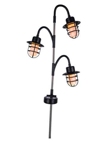 lumisky Lampa solarna LED "Berry" w kolorze czarnym na trzonku - 23 x 74 x 8 cm