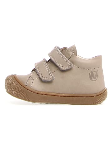 Naturino Leder-Sneakers "Coco" in Taupe