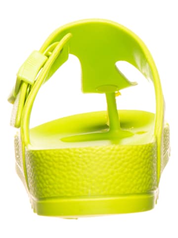 Scholl Zehentrenner "Bahia" in Lime