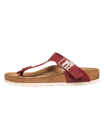 Birkenstock Zehentrenner "Gizeh" in Bordeaux - Weite N