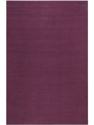 ESPRIT Wełniany dywan w kolorze fioletowym