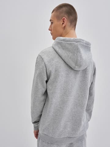 BIG STAR Sweatjacke in Grau