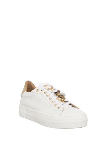 Loretta Skórzane sneakersy w kolorze złoto-białym