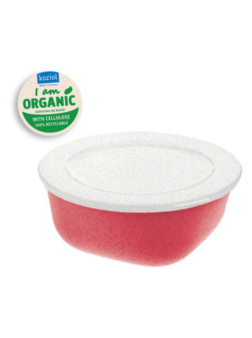koziol Frischhaltedose in Rot - 700 ml