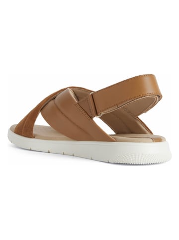 Geox Leren sandalen "Dandra" lichtbruin