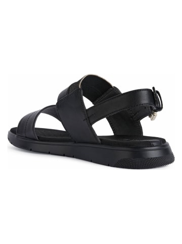 Geox Leder-Sandalen "Dandra" in Schwarz