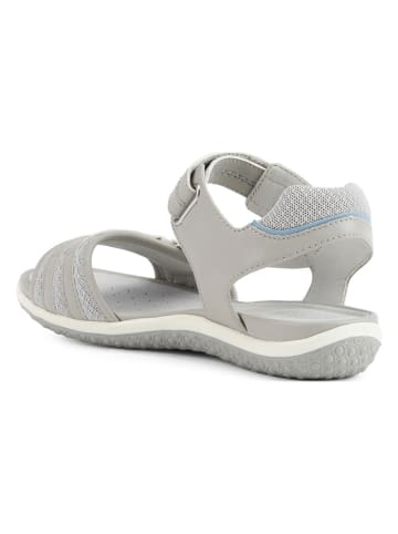 Geox Sandalen "Avio" grijs