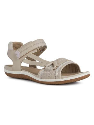 Geox Sandalen "Avio" beige