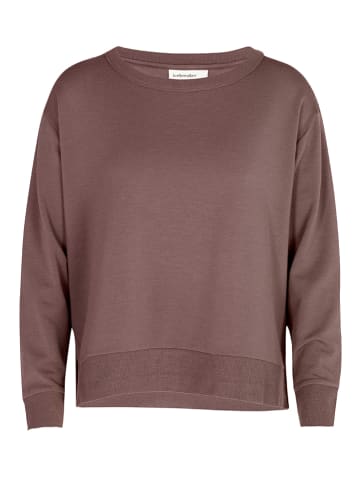 icebreaker Sweatshirt "Dalston" bruin