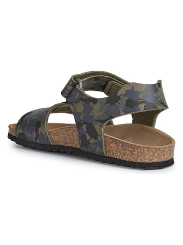 Geox Sandalen "Ghita" kaki/donkerblauw