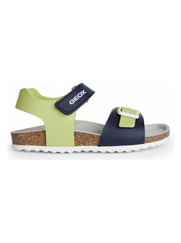 Geox Sandalen "Ghita" in Limette/ Dunkelblau
