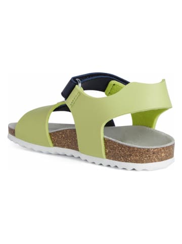 Geox Sandalen "Ghita" limoengroen/donkerblauw