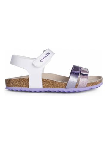 Geox Sandalen "Adriel" in Flieder/ Weiß