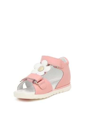 Bartek Leren sandalen lichtroze/wit
