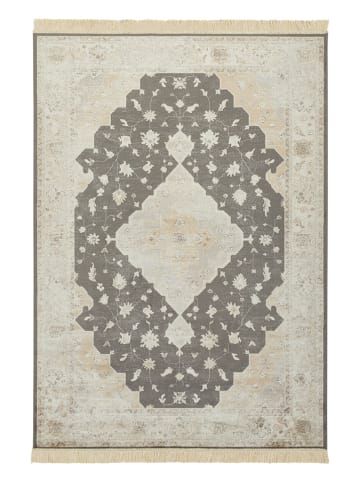 Hanse Home Viscose tapijt "Keshan Zobar" beige/grijs