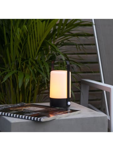 STAR Trading Lampion LED "Flame Lantern" w kolorze czarnym - wys. 19 cm