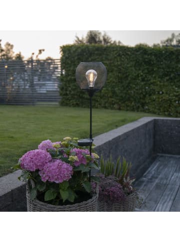 STAR Trading Solarna lampa ogrodowa LED "Sunlight" w kolorze czarnym - wys. 76 cm