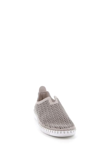 Grünland Slipper in Grau
