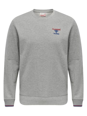 Hummel Sweatshirt "IC Dayton" in Grau