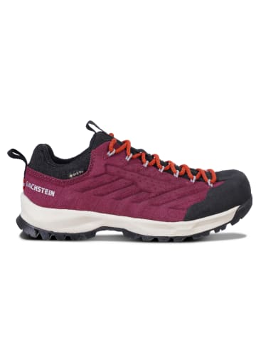 DACHSTEIN Leder-Wanderschuhe "SF-21 GTX" in Pink