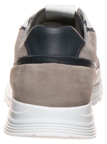 SALAMANDER Enkelveterschoenen "Dayman" grijs/wit