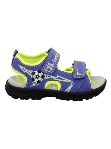 Lurchi Sandalen "Kosty S" in Blau