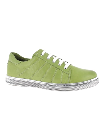 Andrea Conti Leren sneakers groen