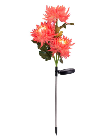 näve LED-Solar-Gartenstecker "Blume" in Pink - (H)79 cm