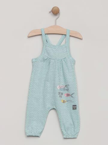 Cotton Fish Overall in Mint/ Bunt