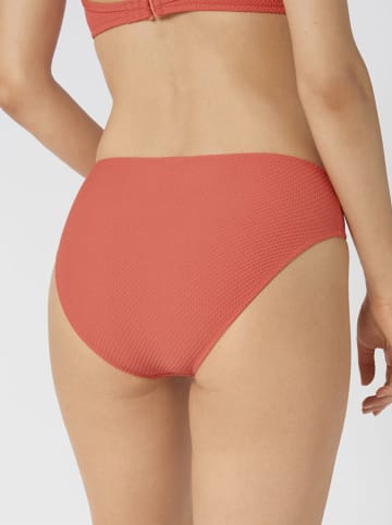 Sloggi Bikini-Hose in Orange