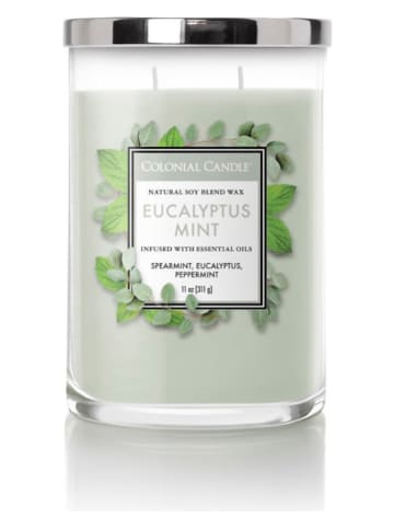 Colonial Candle Duftkerze "Eucalyptus Mint" in Grün - 311 g