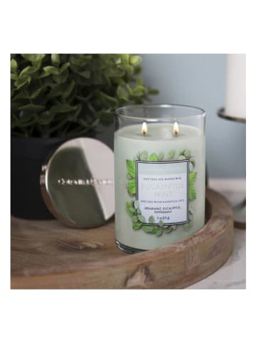Colonial Candle Duftkerze "Eucalyptus Mint" in Grün - 311 g