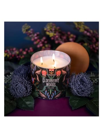 Colonial Candle Duftkerze "Elderberry Woods" in Schwarz/ Bunt - 411 g