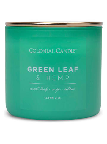 Colonial Candle Duftkerze "Green Leaf Hemp" in Grün - 411 g