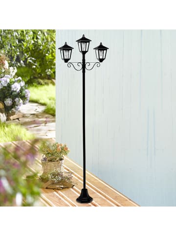 Profigarden Solarny lampion LED w kolorze czarnym - 56 x 194 x 17,5 cm