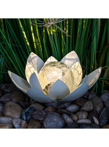 Profigarden LED-Solar-Dekoleuchte "Lotus" in Creme - (H)12 cm
