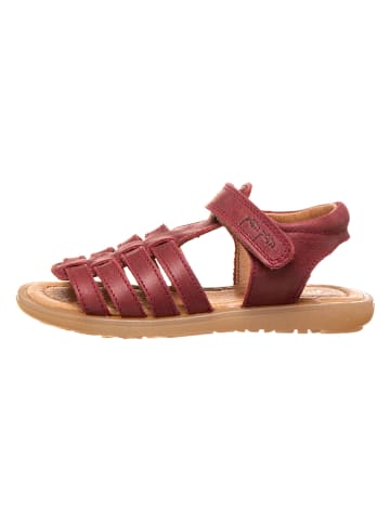 POM POM Leder-Sandalen in Dunkelrot