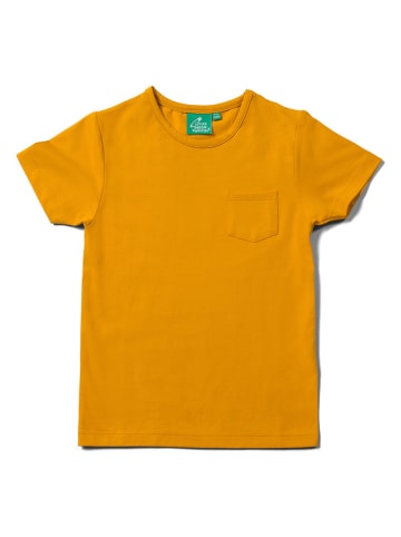 Little Green Radicals Shirt in Orange
