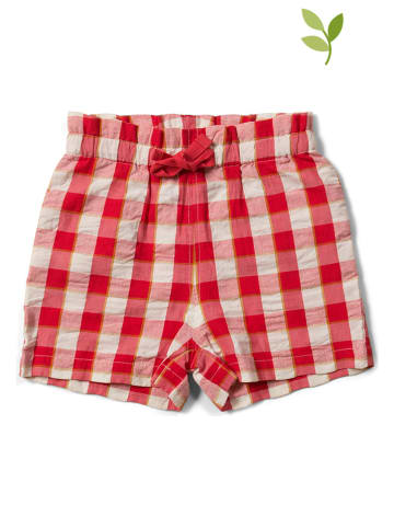 Little Green Radicals Shorts in Rot