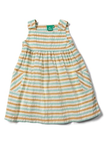 Little Green Radicals Tuinjurk lichtblauw/beige