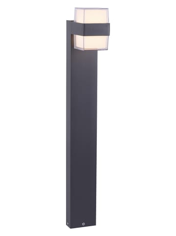 Paul Neuhaus Lampa zewnętrzna LED w kolorze antracytowym - 15 x 75 x 9,5 cm