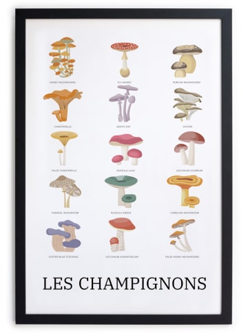 Really Nice Things Druk artystyczny "Les Champignons" w ramce - 30 x 40 cm