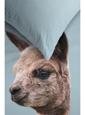 Ambiante Renforcé beddengoedset "Inca" lichtblauw/meerkleurig