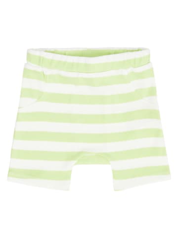 Sense Organics Short "Emilio" groen